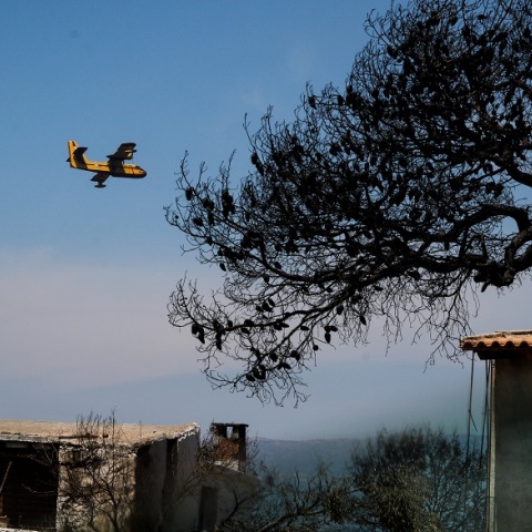 ΠΥΡΚΑΓΙΑ ΣΕ ΔΑΣΙΚΗ ΕΚΤΑΣΗ ΣΤΗΝ ΚΟΡΙΝΘΙΑ