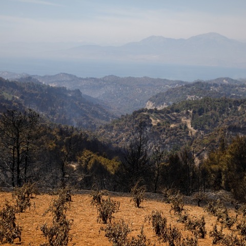 ΠΥΡΚΑΓΙΑ ΣΕ ΔΑΣΙΚΗ ΕΚΤΑΣΗ ΣΤΗΝ ΚΟΡΙΝΘΙΑ