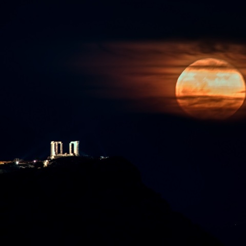 ΡΟΖ ΠΑΝΣΕΛΗΝΟΣ