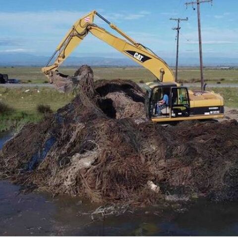 Δίχτυα από το βυθό