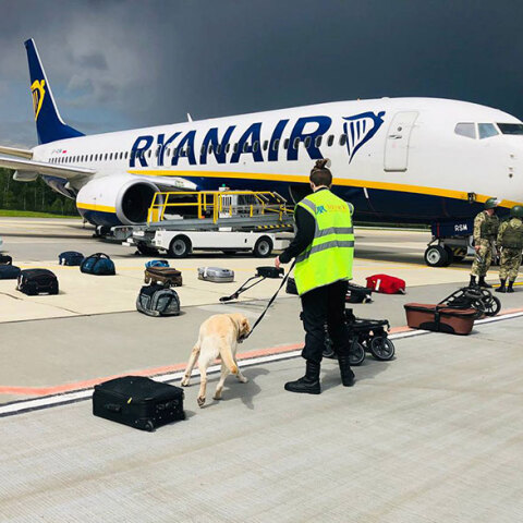 Λευκορωσία: Υπάλληλος της ασφάλειας με ειδικά εκπαιδευμένο σκύλο ελέγχει αποσκευές επιβατών - Το αεροσκάφος της Ryanair προσγειώθηκε εκτάκτως στο αεροδρόμιο του Μινσκ μετά την απειλή για βόμβα