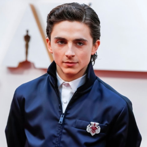 Ο Τιμοτέ Σαλαμέ στο κόκκινο χαλί της 92ης τελετής απονομής Όσκαρ, το 2020