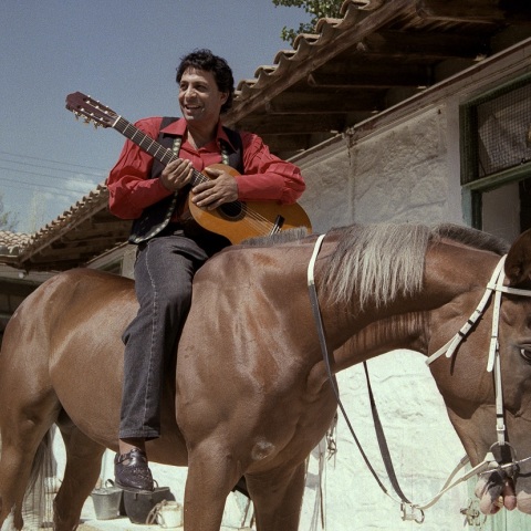 Βασίλης Παϊτέρης