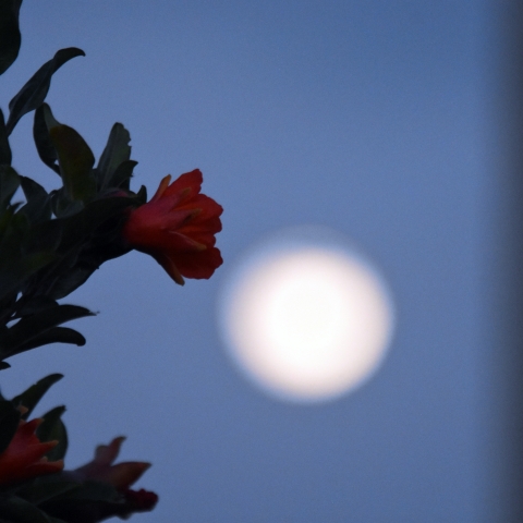 Αργολίδα-Πανσέλινος Μαΐου-2021©Eurokinisi-ΠΑΠΑΔΟΠΟΥΛΟΣ-ΒΑΣΙΛΗΣ