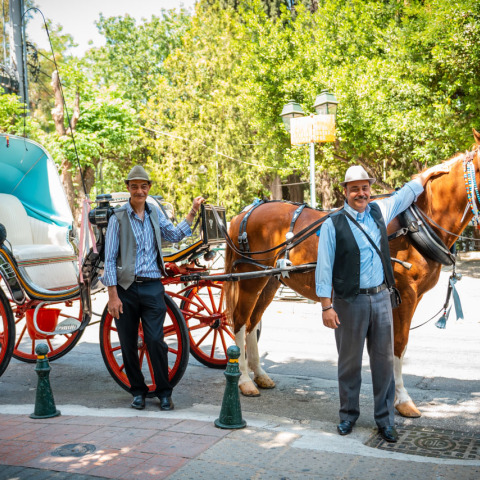 Οι τελευταίοι αμαξάδες της Αθήνας