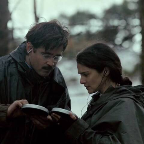 «Ο Αστακός (The Lobster)» του Γιώργου Λάνθιμου