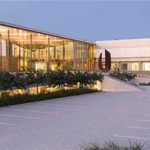 Η Κύπρος το επίκεντρο της Χειρουργικής Ανδρολογίας 