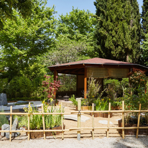 67η Ανθοκομική Έκθεση Κηφισιάς Praktiker