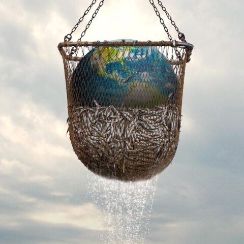 Το ντοκιμαντέρ «Seaspiracy» στο Netflix για τον περιβαλλοντικό αντίκτυπο της αλιείας