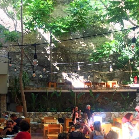 Ο κήπος του Six Dogs