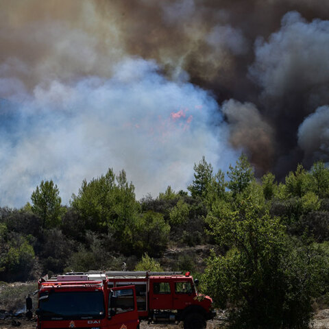 Δασική πυρκαγιά (ΦΩΤΟ ΑΡΧΕΙΟΥ)
