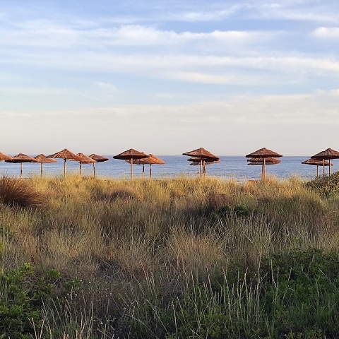 Ψάθινες ομπρέλες σε παραλία της Αττικής