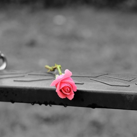 Αυτοκτονία - Λουλούδι σε κούνια