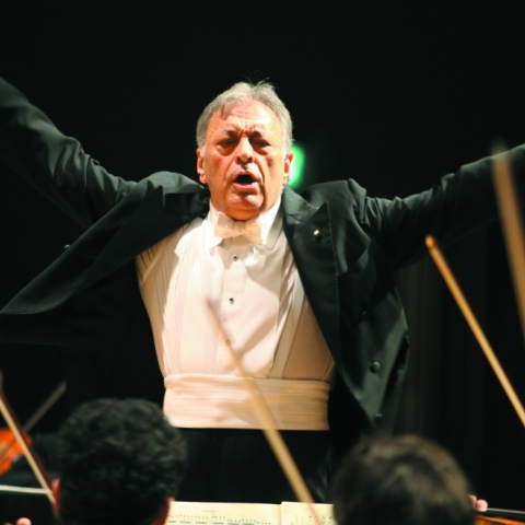 Ζούμπιν Μέτα