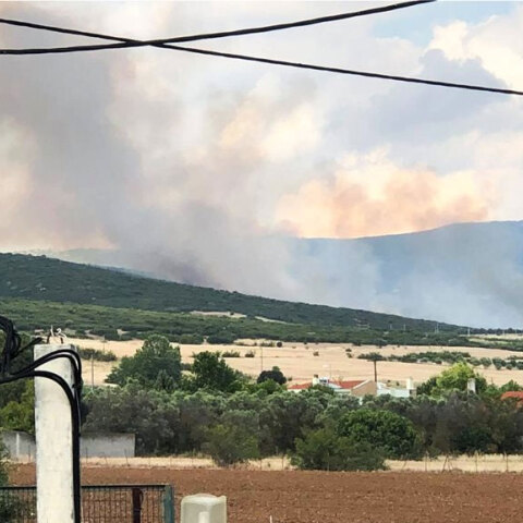 Θεσσαλονίκη: Εκδηλώθηκε φωτιά στη Θέρμη - Καίει δάσος και χαμηλή βλάστηση