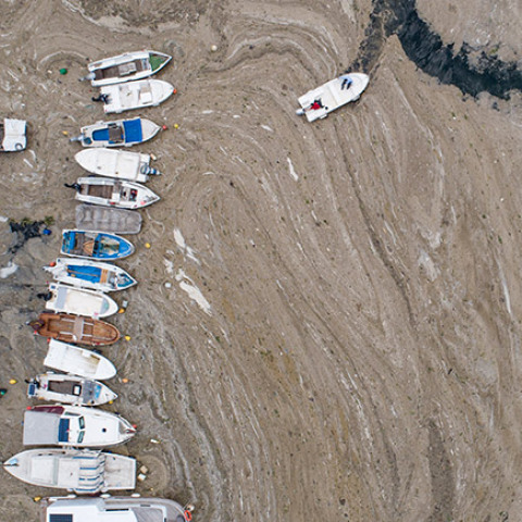 Τουρκία - Θαλάσσια βλέννα στη θάλασσα του Μαρμαρά