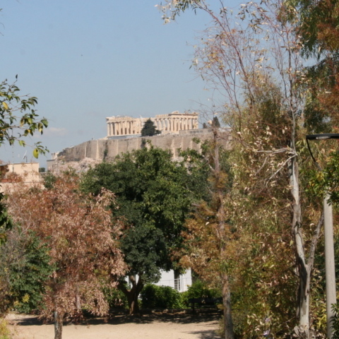 Άλσος Λογγίνου