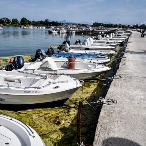 «Πράσινη παλίρροια» στην Πρέβεζα