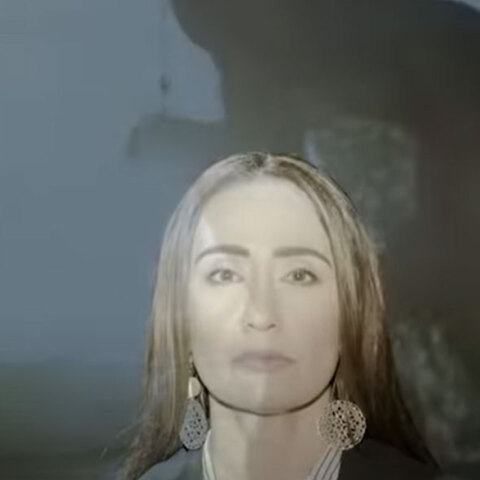 Το επίμαχο βίντεο για το συνέδριο γονιμότητας στα Ιωάννινα που προκάλεσε σάλο στα social media