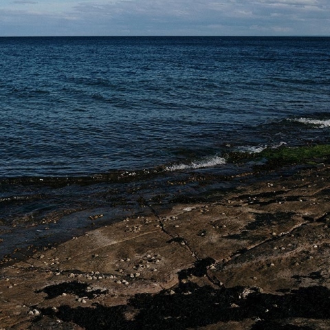 ''χαζή μαμά''