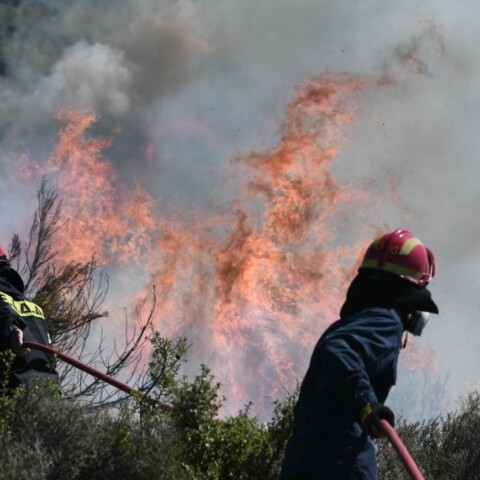 Πυροσβέστες σβήνουν φωτιά σε δασική περιοχή©Eurokinissi/ΚΑΡΑΓΙΑΝΝΗΣ ΜΙΧΑΛΗΣ
