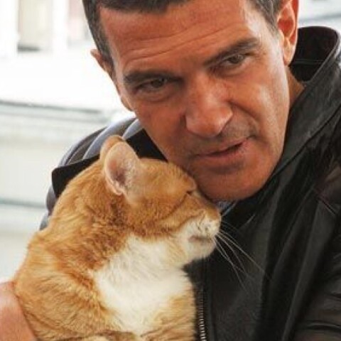 Ο Αντόνιο Μπαντέρας©Twitter@pascal_ina