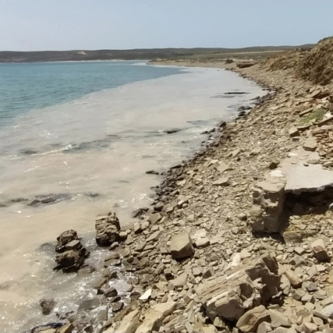 Λήμνος: Έφτασε στην ευρύτερη θαλάσσια περιοχή του νησιού η βλέννα του Μαρμαρά 