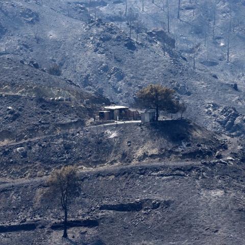 Η Ε.Ε. είναι έτοιμη να παράσχει στον λαό της Κύπρου κάθε είδους βοήθεια, δήλωσε ο πρόεδρος του Ευρωπαϊκού Συμβουλίου, ενώ υπό μερικό έλεγχο τέθηκε η πυρκαγιά