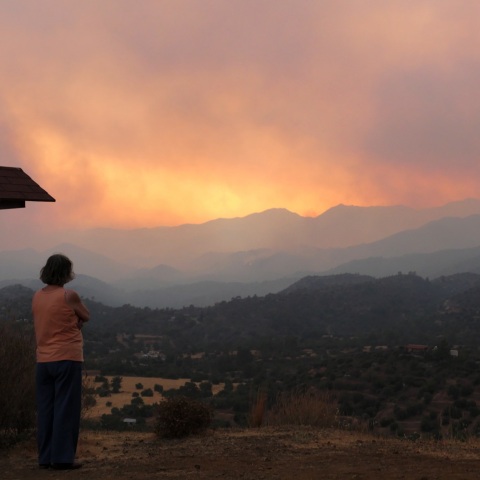 Φωτιά στην Κύπρο: Ο υπουργός Εσωτερικών Νίκος Νουρής κάνει λόγο για την καταστροφικότερη πυρκαγιά από καταβολής της Κυπριακής Δημοκρατίας. 