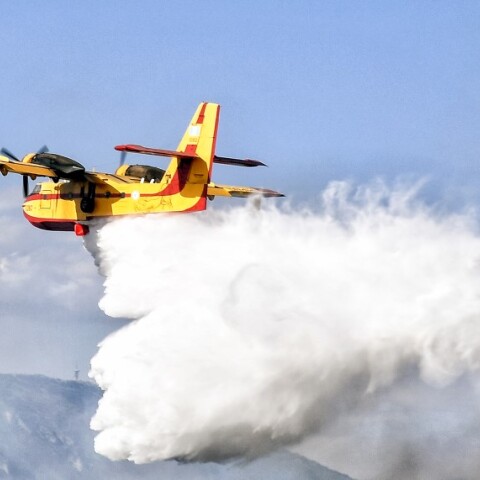 Φωτιά σε δασική περιοχή στον Κάλαμο © Eurokinissi/ΒΑΣΙΛΗΣ ΨΩΜΑΣ