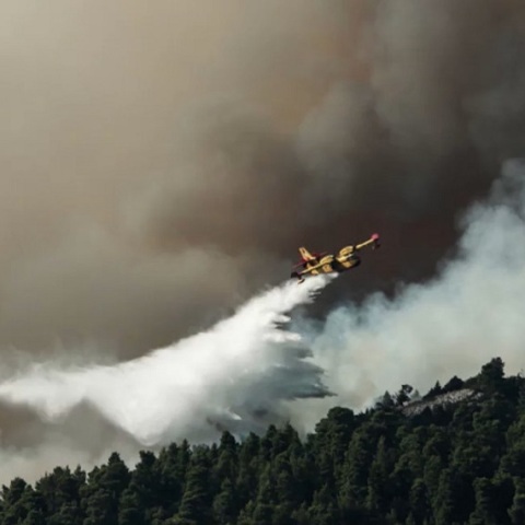 Φωτιά στον Έβρο © EUROKINISSI/ΣΩΤΗΡΗΣ ΔΗΜΗΤΡΟΠΟΥΛΟΣ