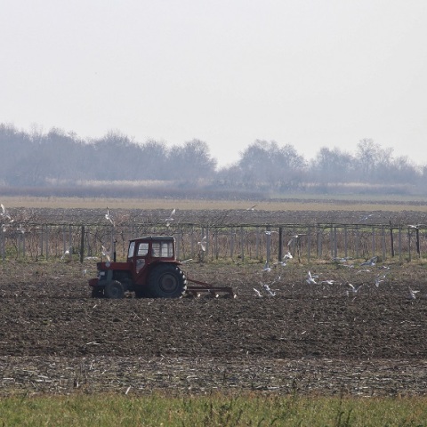 Αγροτικό μηχάνημα