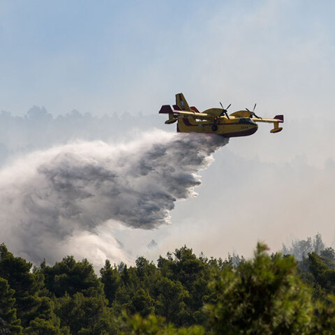 Φωτιά στην Εύβοια (ΦΩΤΟ ΑΡΧΕΙΟΥ) - Εστάλη μήνυμα από το 112 για την πυρκαγιά στα Νέα Στύρα