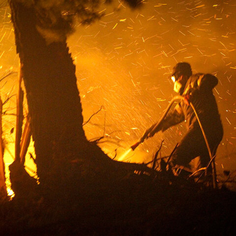 Πυροσβέστης σε δασική πυρκαγιά (ΦΩΤΟ ΑΡΧΕΙΟΥ) - Ολονύχτια μάχη με τη φωτιά στα Νέα Στύρα