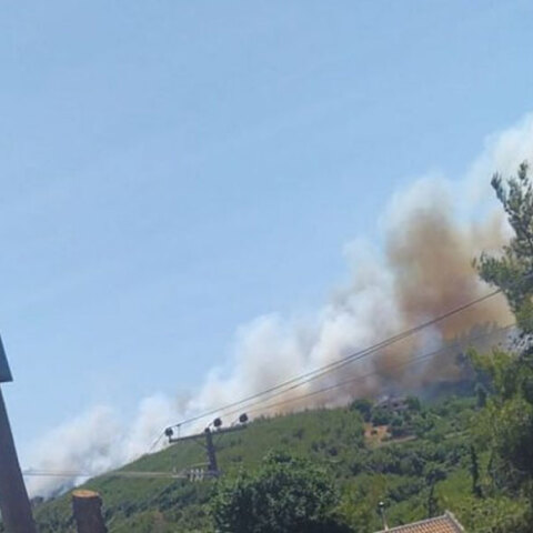 Βαρνάβας: Η φωτιά καίει δάσος, με τους πυροσβέστες να προσπαθούν να ελέγξουν την πυρκαγιά