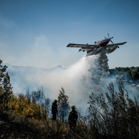 ΠΥΡΚΑΓΙΑ ΣΕ ΔΑΣΙΚΗ ΕΚΤΑΣΗ ΣΤΟΝ ΒΑΡΝΑΒΑ ΑΤΤΙΚΗΣ 