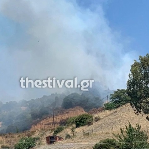 Φωτιά στη Νικήτη Χαλκιδικής