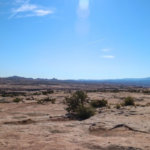 Καύσωνας στις ΗΠΑ