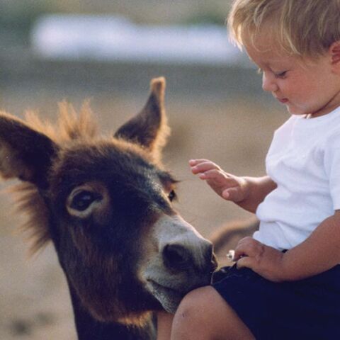 Ο Αρίων Σπυρίδης (Minas designs) 