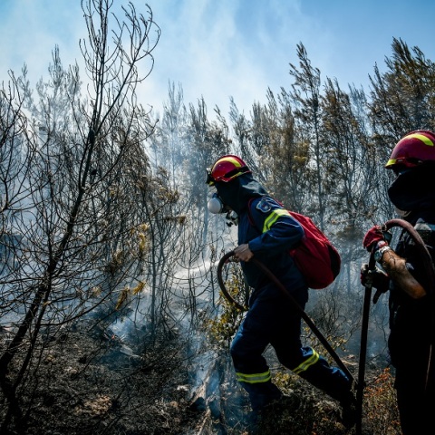 Φωτιά - Πυροσβέστες (φωτογραφία αρχείου)