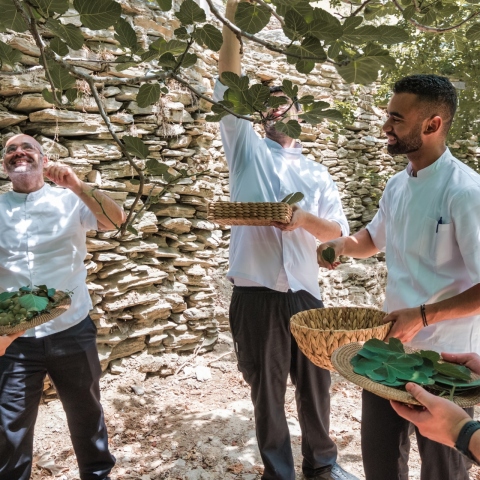 Ο Τάσος Μαντής στην Galazia Hytra της Πάρου