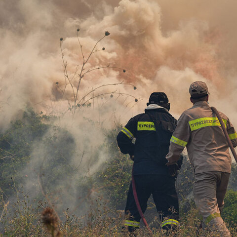 Πυροσβέστες σε δασική πυρκαγιά (ΦΩΤΟ ΑΡΧΕΙΟΥ) - Ξέσπασε φωτιά στον Ωρωπό