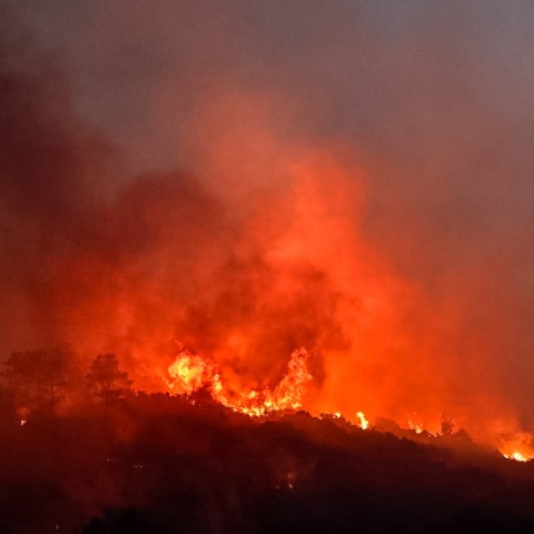 Το πύρινο μέτωπο σε δασική έκταση στη Σάμο - Συνεχίζεται η «μάχη» των Πυροσβεστών με τη φωτιά