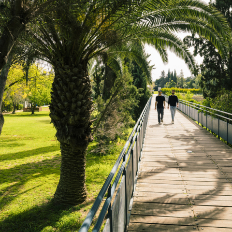 Πανεπιστήμια Κύπρου