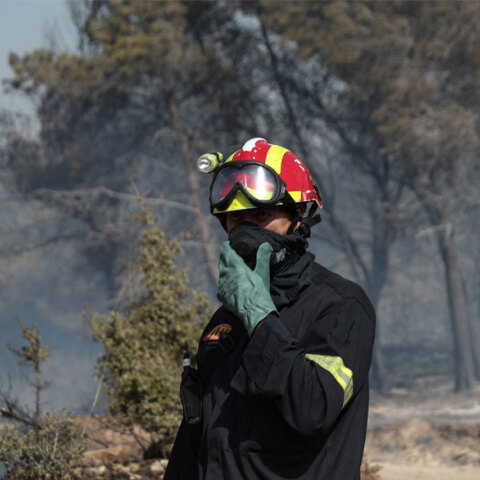 Πυροσβέστες σε δασική πυρκαγιά (ΦΩΤΟ ΑΡΧΕΙΟΥ) - Εκκενώθηκε οικισμός στην Αργολίδα καθώς μαίνεται η φωτιά