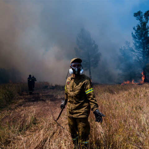 Πυροσβέστης σε αγροτοδασική πυρκαγιά (ΦΩΤΟ ΑΡΧΕΙΟΥ) - Επί ποδός η Πυροσβεστική για τη φωτιά στη Χαλκίδα