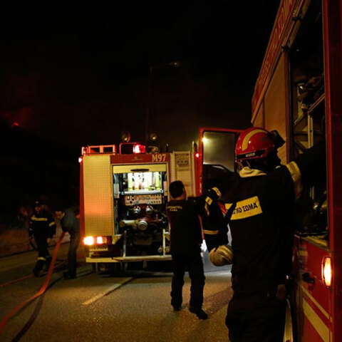 Πυροσβέστες σε δασική πυρκαγιά (ΦΩΤΟ ΑΡΧΕΙΟΥ) - Ολονύχτια η επιχείρηση κατάσβεσης σε Χαλκίδα και Αργολίδα