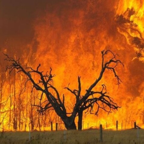 Φωτιά στη Σαρδηνία