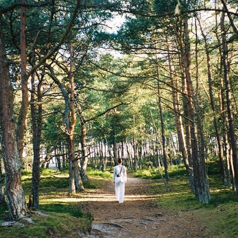 Γυναίκα ντυμένη στα λευκά περπατάει σε μονοπάτι στο δάσος