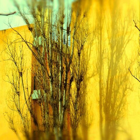 Φωτογραφία στο εξώφυλλο της συλλογής «Ποιήματα» του Ηλία Ευθυμιόπουλου (εκδ. ATHENS VOICE BOOKS)